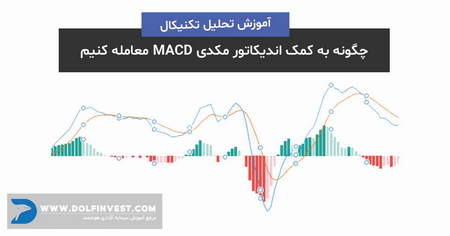 پرایس اکشن موتیوویو